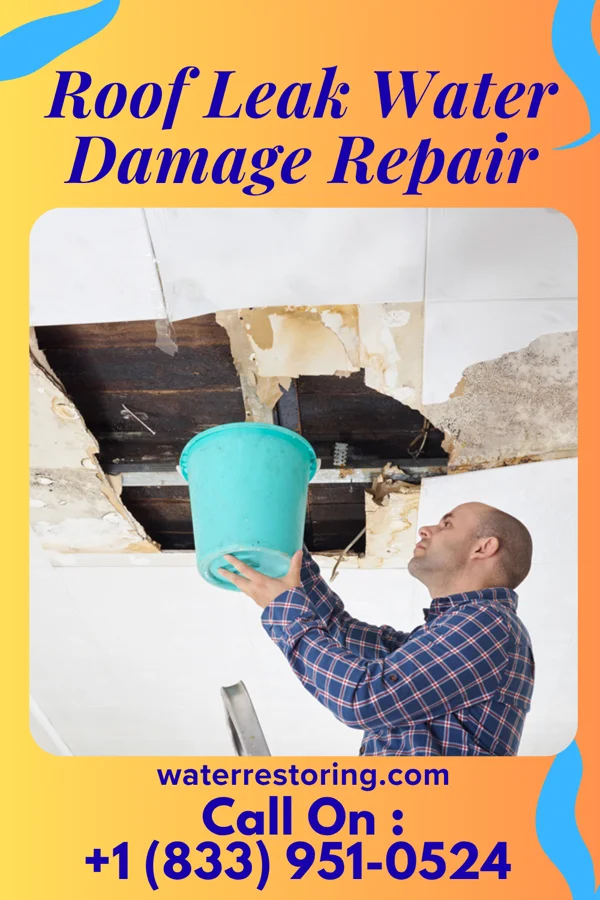 Roof Leak Water Damage Repair in Duquesne, MO