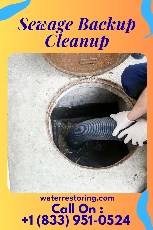 Sewage Backup Cleanup in Duquesne, MO